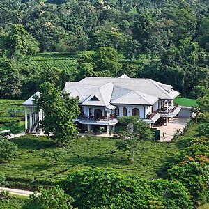 Vaani Greens Wildlife Resort, Kaziranga